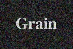 Grain